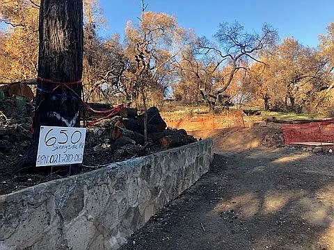 650 Sunnyside Rd photo 1
