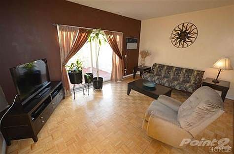 Large living room