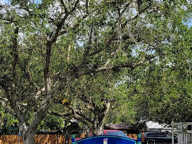 12219 De Moya Dr — Photo 25