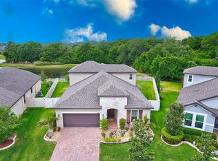 10677 Cardera Dr, Riverview, FL 33578