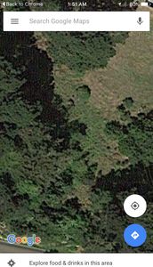 21950 Timber Cove Rd, Jenner, CA, 95450