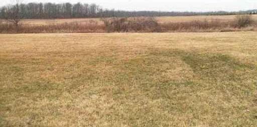 3rd image of 11192 Hill
