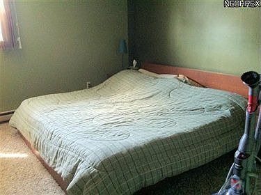 5th image of 46558 Dogwood Cir