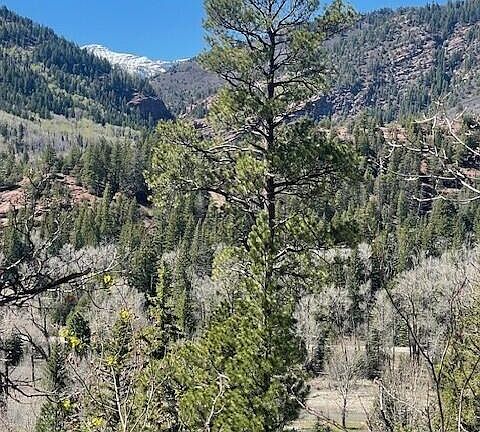 4th image of 250 E Creek Trl