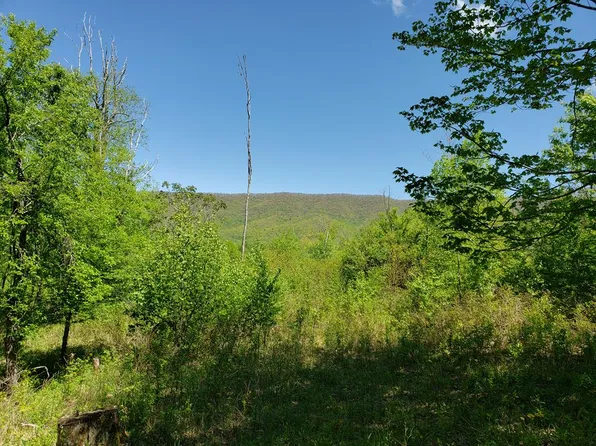 Days Bottom Ln, Troutdale, VA 24378