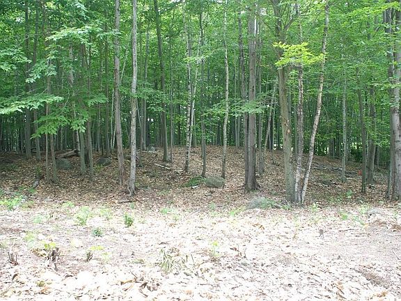 2nd image of 1713 Hilltop Lane