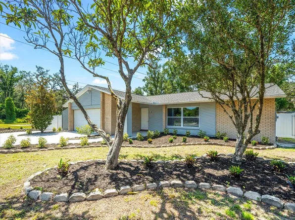 2433 Blind Pond Ave, Lutz, FL 33549