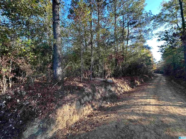 2 County Road 176 #5495, Clanton, AL 35046