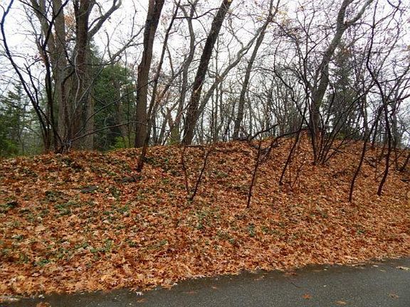 2nd image of 0 Hillside Trl