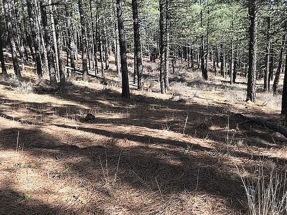 5th image of 74364 Old County Rd