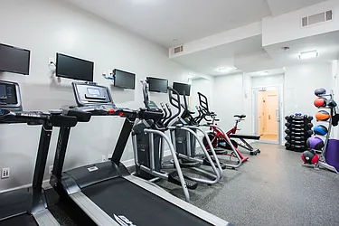 Rented by Bold New York