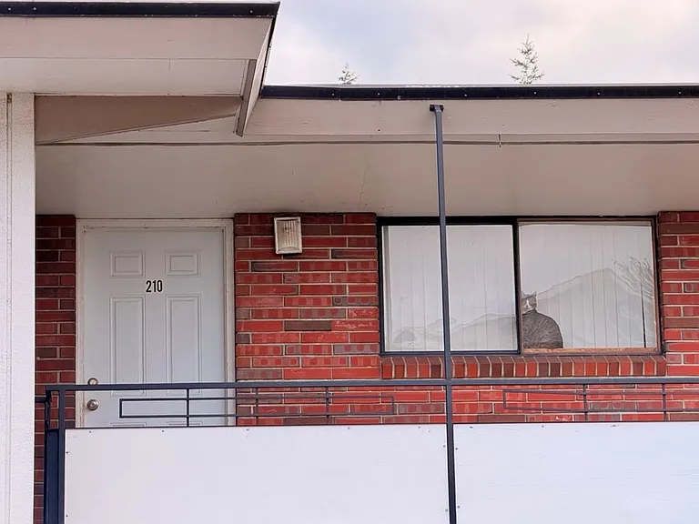 Majestic View Apt — Photo 29