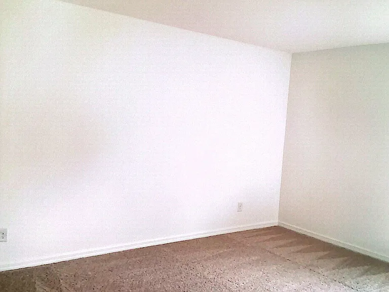 663 Birdswill Ln — Photo 6