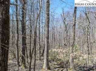 129 Greenbriar Rd, Banner Elk, NC 28604