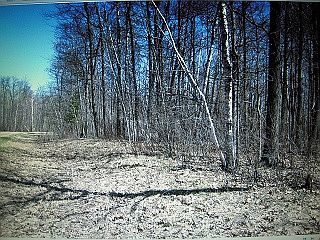 walking path to beach