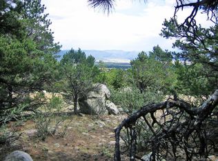 30303 Princeton Hls, Buena Vista, CO 81211
