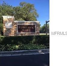 2nd image of 15726 Fishhawk Falls Dr