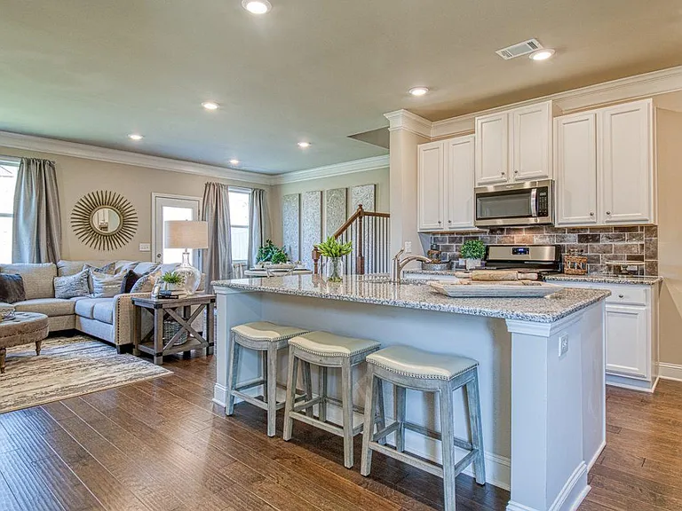 Model Kitchen and Living Room