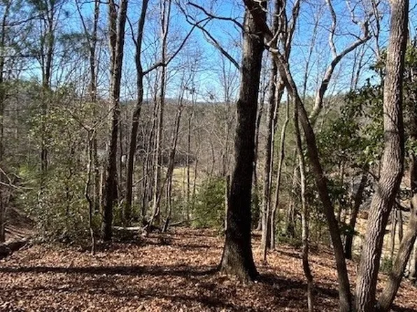 39 High Meadows Dr, Morganton, GA 30560