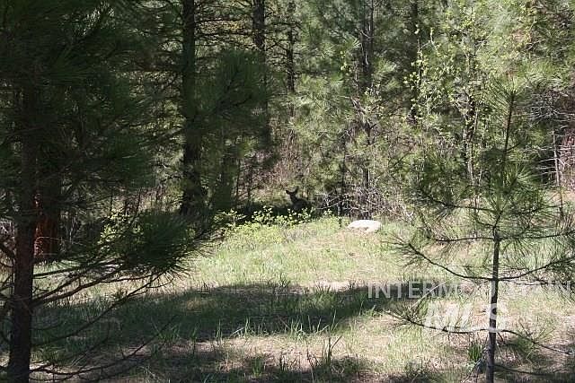 1st image of 9 Creek Hollow Dr