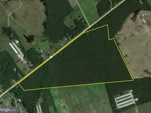 County Seat Hwy, Laurel, DE 19956