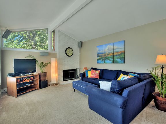 Wood-burning fireplace