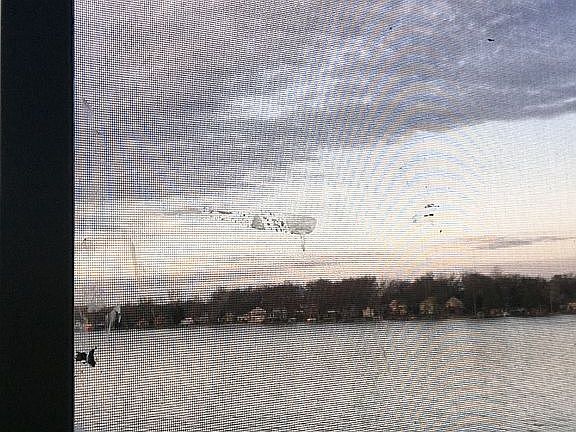 3rd image of 3931 Woodland Dr