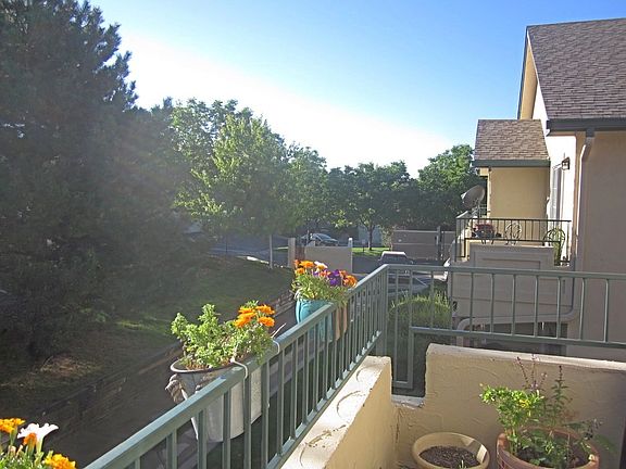 Patio view looking southeast