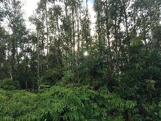 1st image of 14th Ave Lot 459