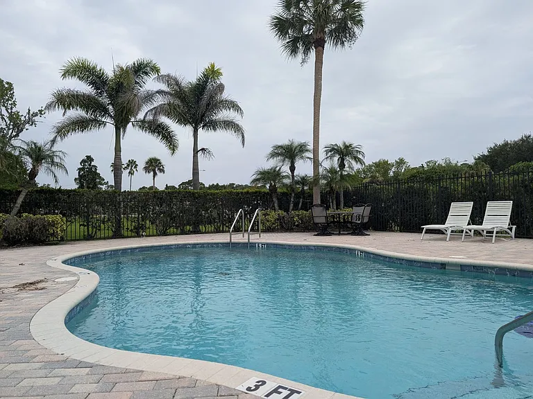 1000 Tarpon Woods Blvd #101 — Photo 33