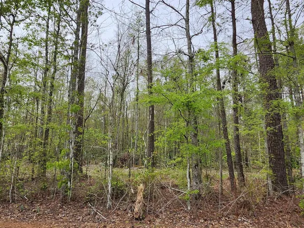 LOT Lod Stafford Rd #A, Walker, LA 70785