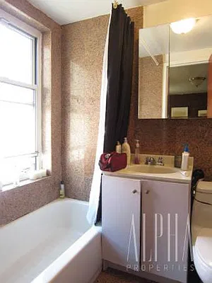 Rented by Alpha Properties NYC I LLC | media 13