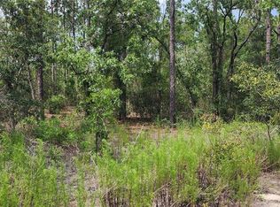 SW Indian Hill Dr LOT 21, Dunnellon, FL 34431