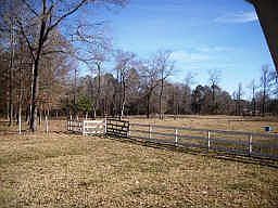 2nd image of 21228 Walnut Dr
