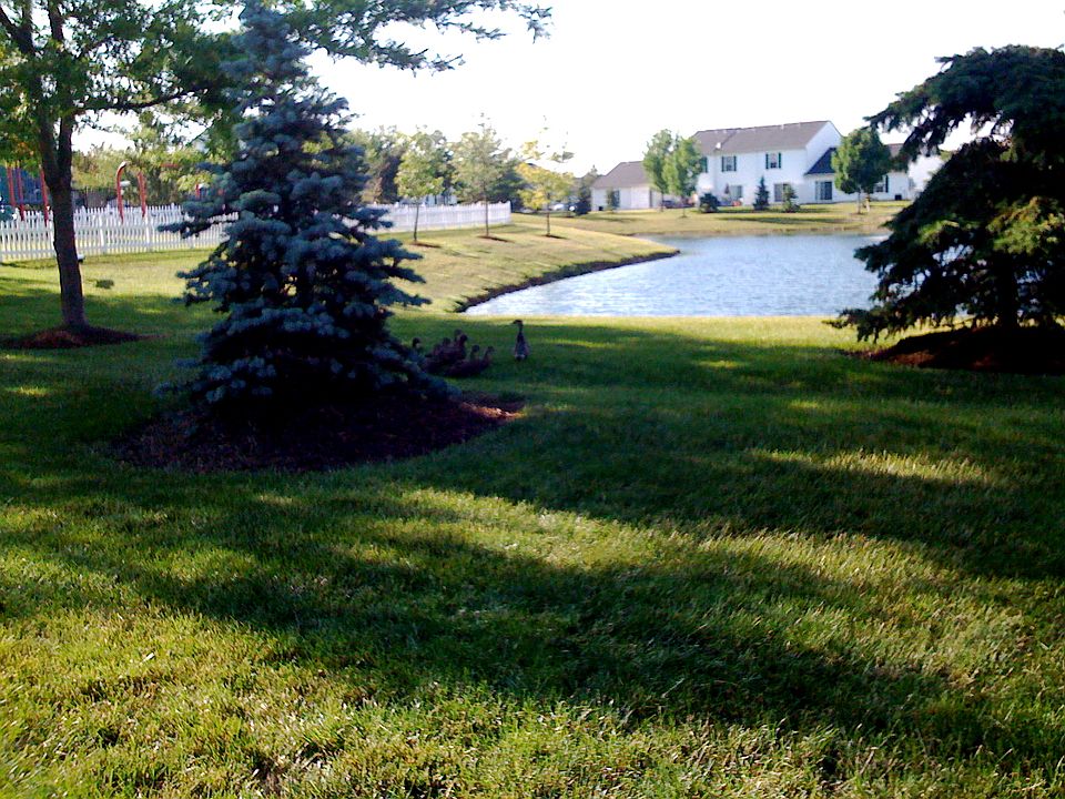 View of pond and playground