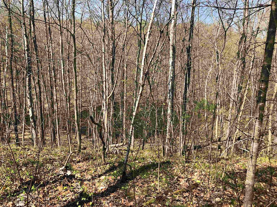 1st image of E Wheeler Lake Ln