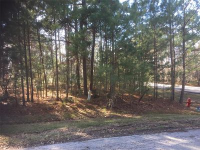 26 Prince Cir, Coldspring, TX, 77331