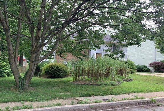 3rd image of 1305 Roosevelt St