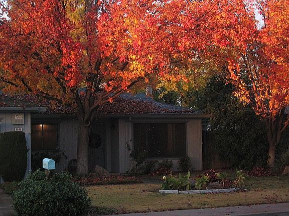 1581 Scott Ave. - Fall