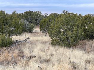 63 County Road 8010, Concho, AZ 85924