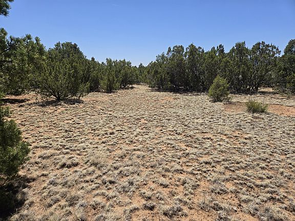 3rd image of 0 Rosewood Dr Lot 12-D-12