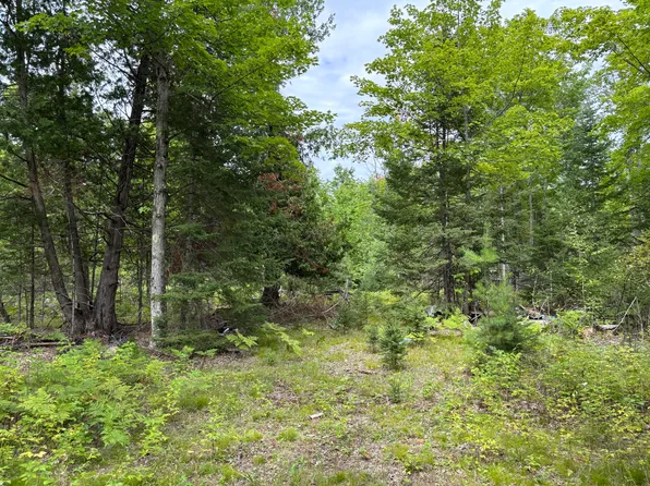 Nhn Misiak Hwy, Presque Isle, MI 49777