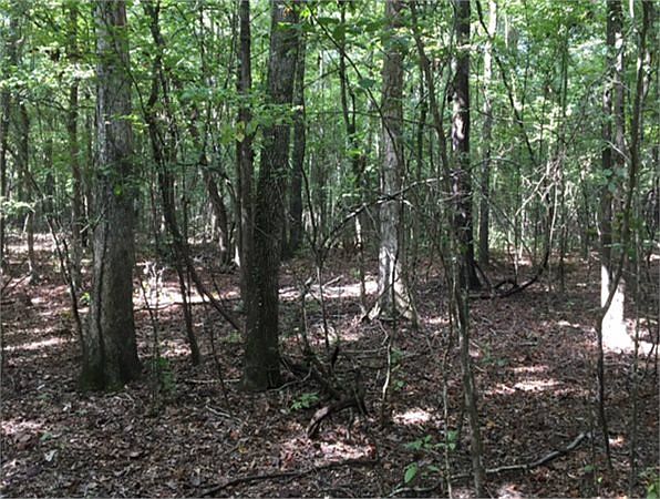 2nd image of Martin Ln