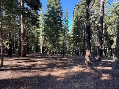 11710 Tundra Dr, Truckee, CA, 96161