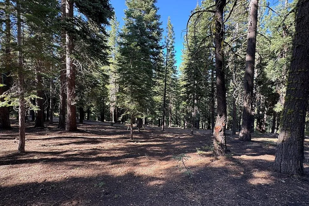 11710 Tundra Dr photo 1