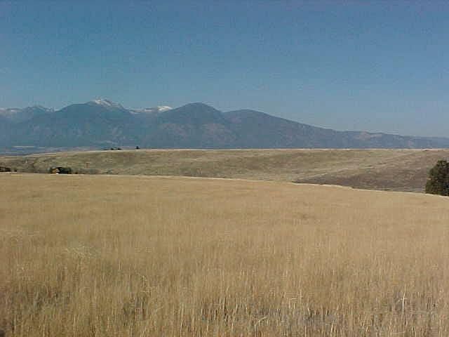 2nd image of Nhn Red Hawk Trl