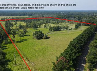 1126 Johnnie Ingram Rd, Webb, AL 36376
