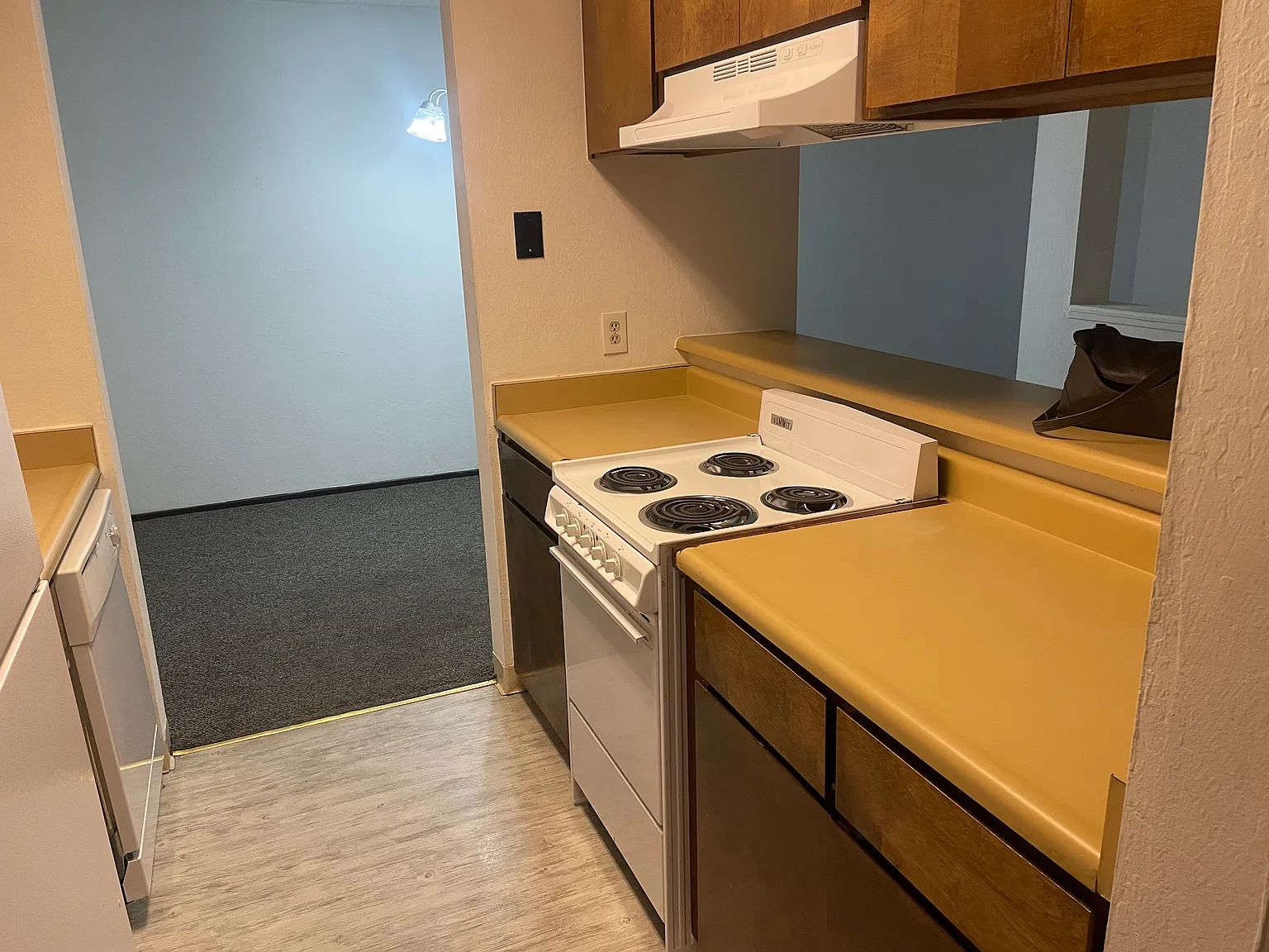 1 bed, 677 sqft, $1,300 — Photo 2