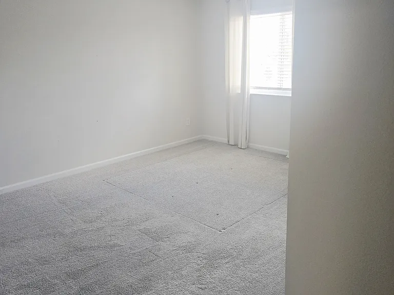 232 Cape Honeysuckle Pl — Photo 6
