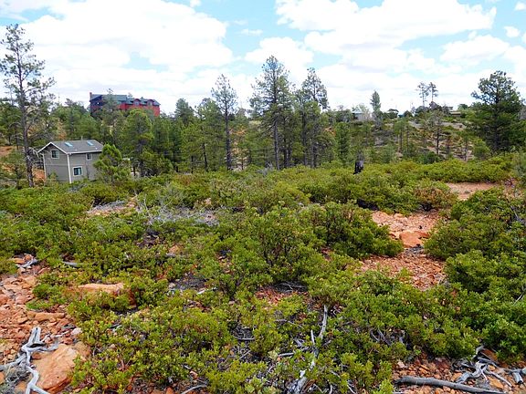 View of neighbors across Homestead Trl